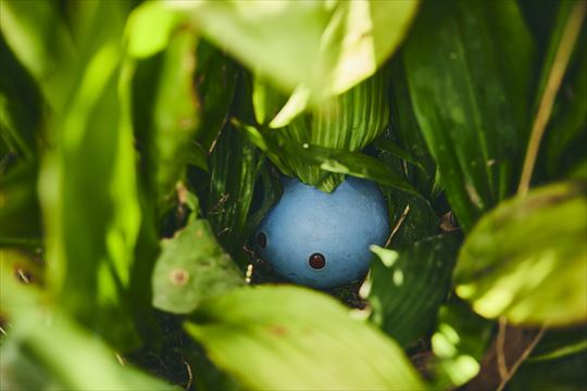 ポケモンワンダー