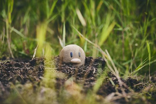 ポケモンワンダー