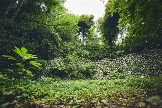 ポケモンワンダー