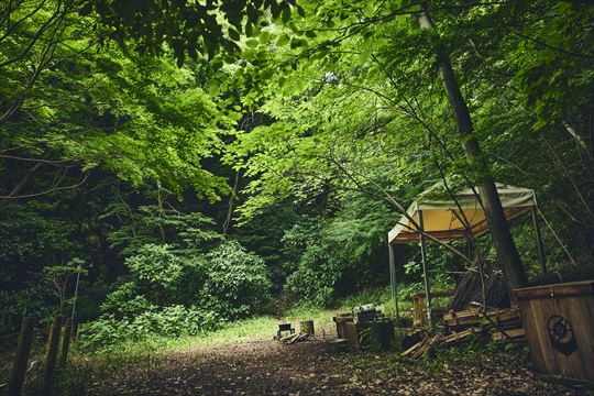 ポケモンワンダー