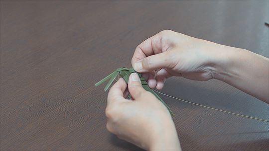 ポケモンワンダー