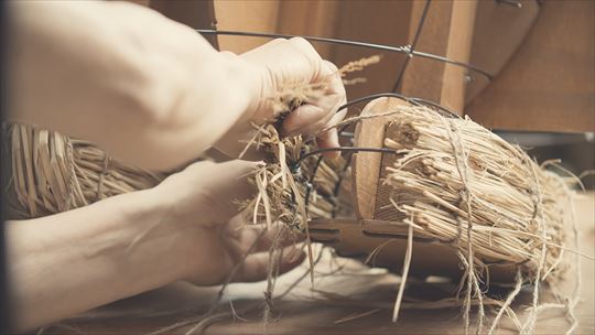 ポケモンワンダー