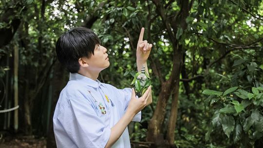 ポケモンワンダー