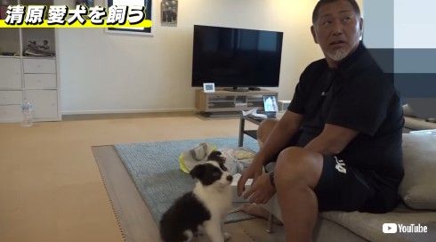 清原和博 野球 犬 自宅 YouTube