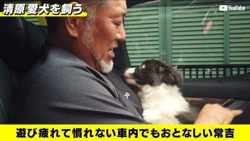 清原和博 野球 犬 自宅 YouTube