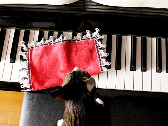 刺繍 タオル ハンカチ 近沢レース 2021秋冬