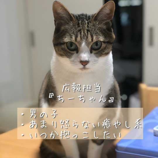 京都 佐々木酒造 猫 社員 上司 紹介