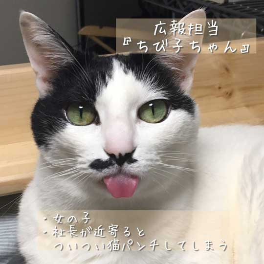 京都 佐々木酒造 猫 社員 上司 紹介