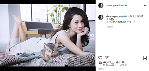 ダレノガレ明美 食費 ダウンタウン Uber 批判 反論 炎上 Instagram