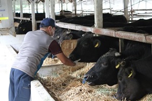 【PR】丸亀製麺夏うどん『神戸牛旨辛つけうどん』