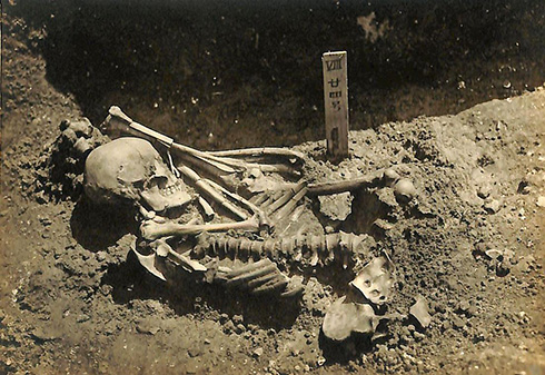 京大が人類最古のサメ被害記録を更新　約3000年前の人骨からサメに全身を食いつかれた痕跡を特定