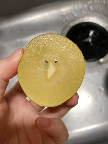 キウイ フルーツ 断面 顔 キーウィ