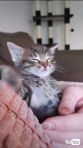 Struggles to Stay Awake