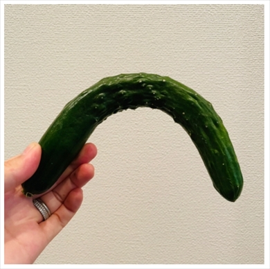 だいたひかる 不妊治療 妊娠 夫 浮腫 結婚指輪 外す ブログ