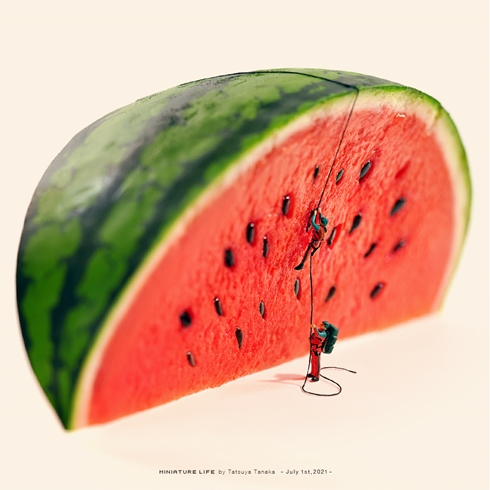 ミニチュア 作家 田中達也