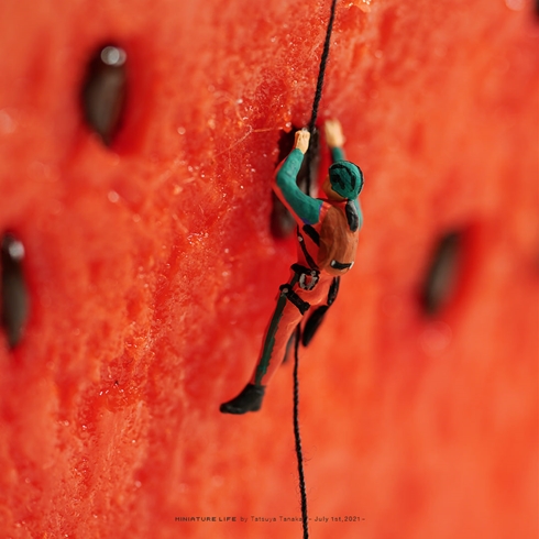 ミニチュア 作家 田中達也