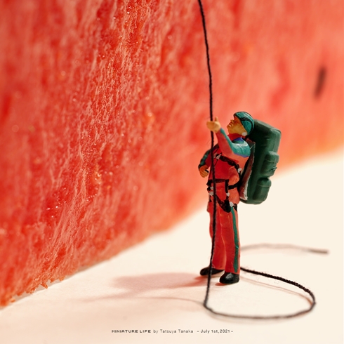 ミニチュア 作家 田中達也