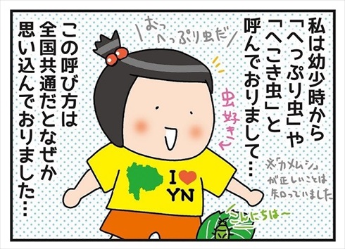 カメムシの呼び方