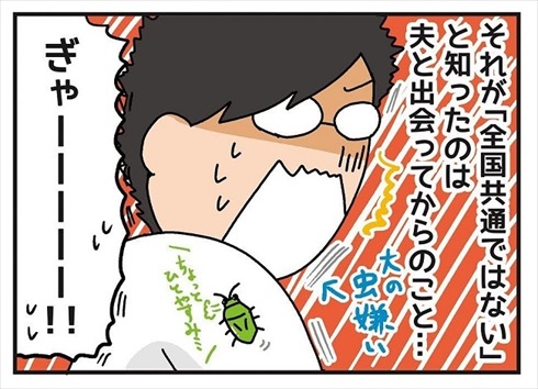 カメムシの呼び方