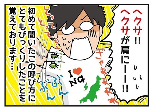 カメムシの呼び方