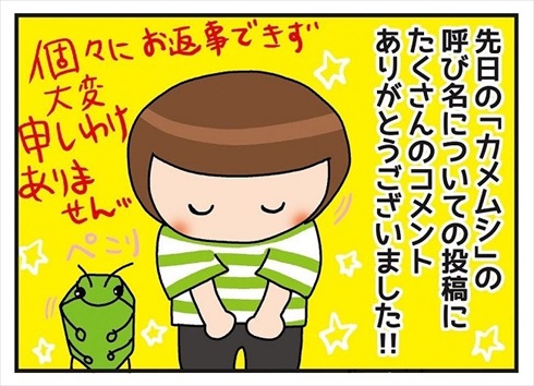 カメムシの呼び方