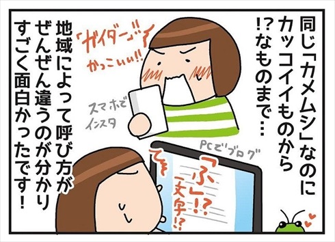 カメムシの呼び方