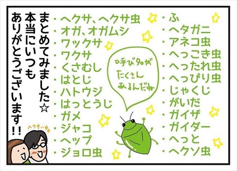 カメムシの呼び方