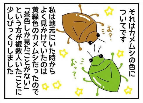 カメムシの呼び方