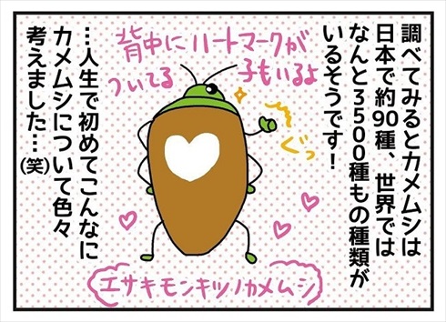 カメムシの呼び方