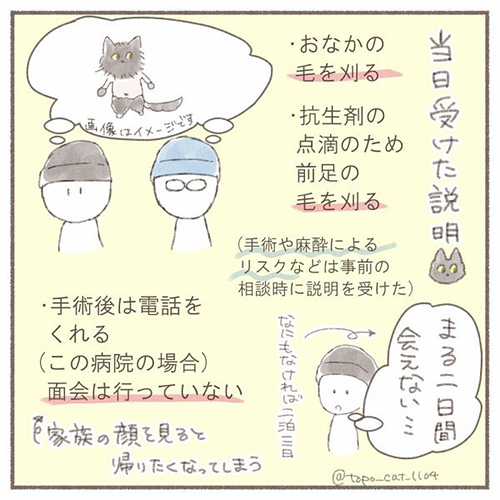 トポ避妊手術終編・当日3