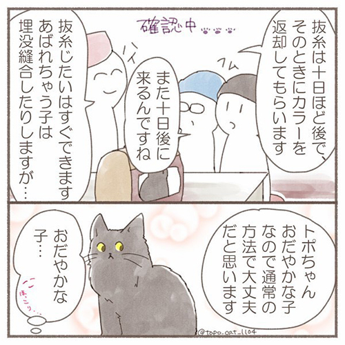 トポ避妊手術終編・当日5