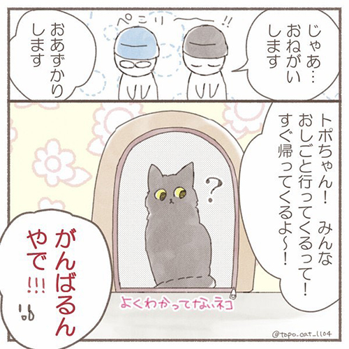 トポ避妊手術終編・当日6