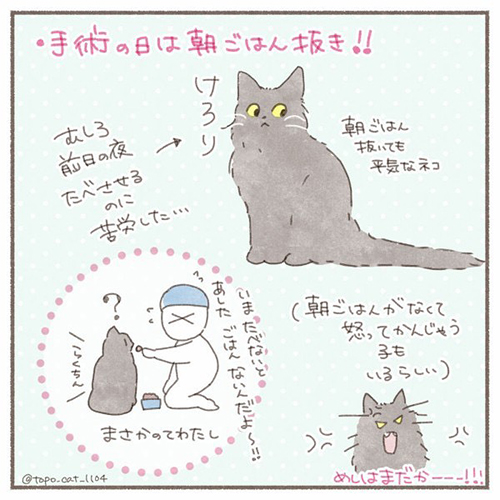 トポ避妊手術終編・当日9