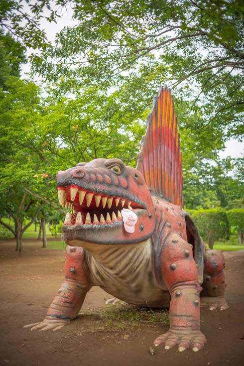 落ちた帽子 恐竜 食べられたみたい 茨城県 八坂公園
