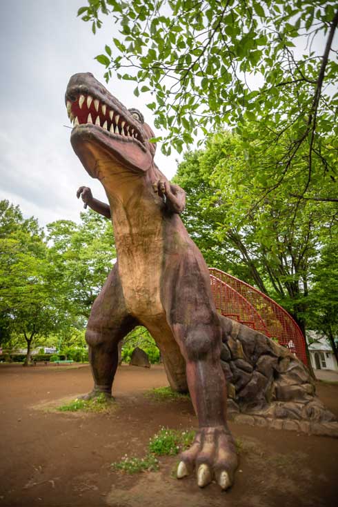 落ちた帽子 恐竜 食べられたみたい 茨城県 八坂公園