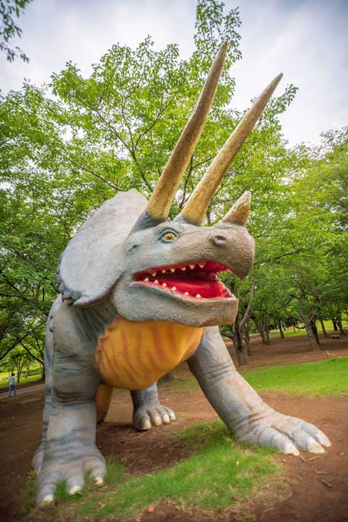 落ちた帽子 恐竜 食べられたみたい 茨城県 八坂公園