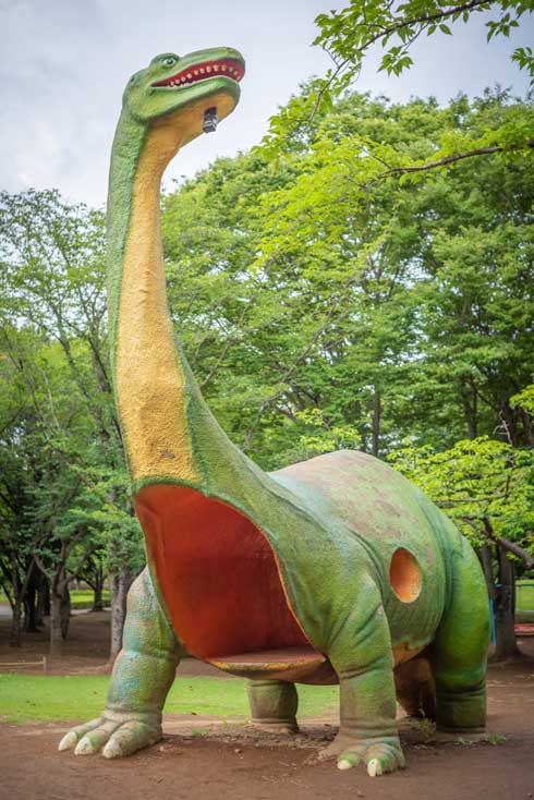落ちた帽子 恐竜 食べられたみたい 茨城県 八坂公園