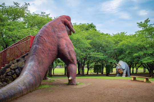 落ちた帽子 恐竜 食べられたみたい 茨城県 八坂公園