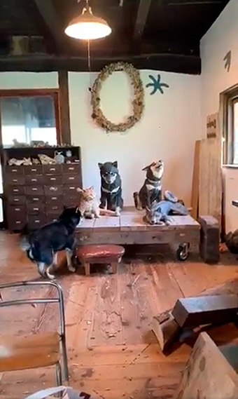 はしもとみおさん