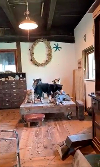 はしもとみおさん