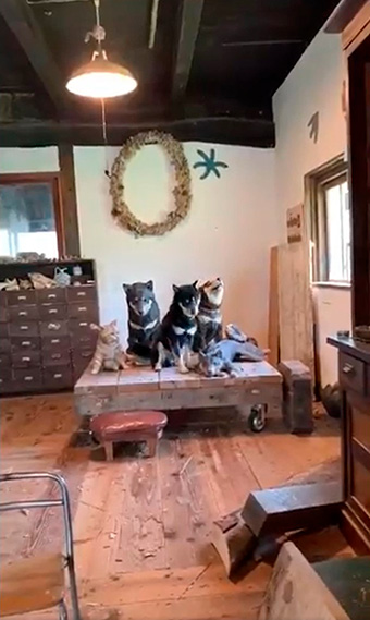 はしもとみおさん