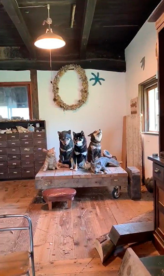 はしもとみおさん