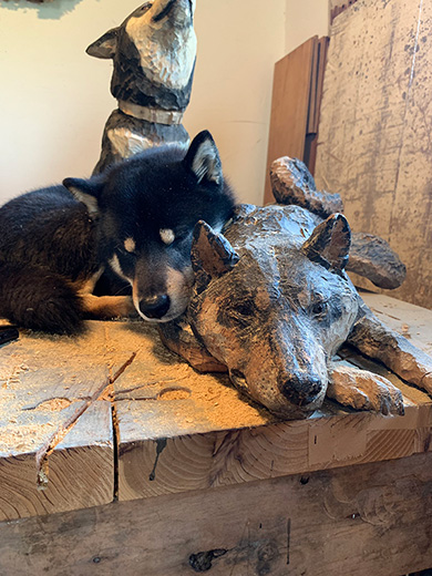 はしもとみおさん