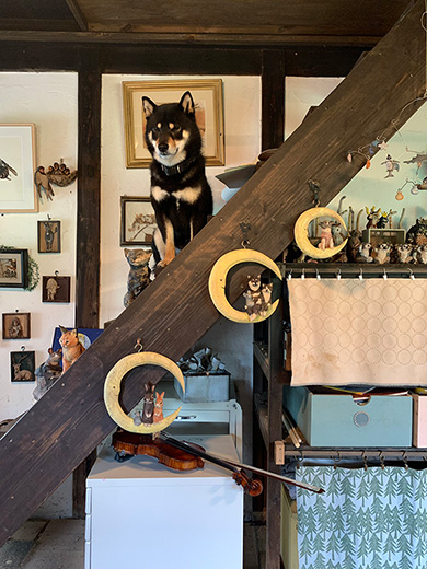 はしもとみおさん