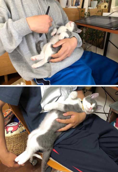 猫 一緒に 登校 リュック 乗る