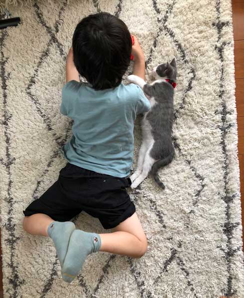 猫 一緒に 登校 リュック 乗る