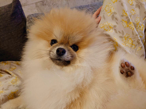 見上げるミサイルちゃん