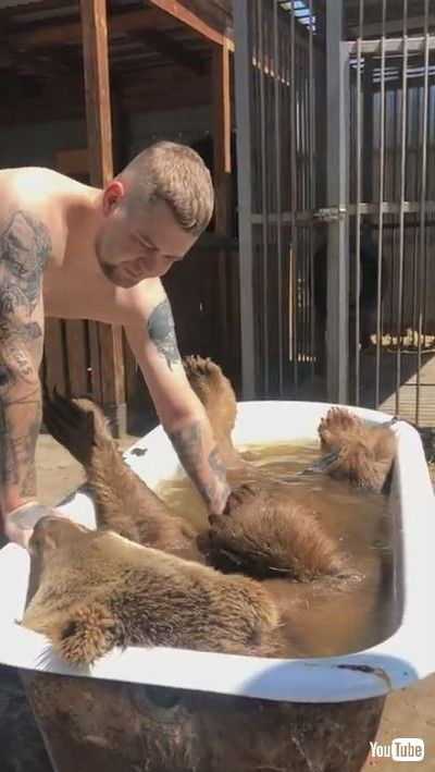 「Bear Enjoys Relaxing Bath Time || ViralHog」