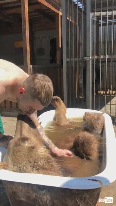 「Bear Enjoys Relaxing Bath Time || ViralHog」