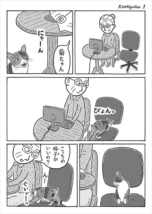 言葉が分かるかのような猫の菊ちゃん